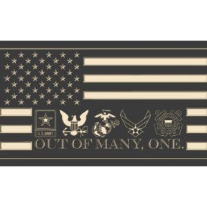 Out of Many - One Flag